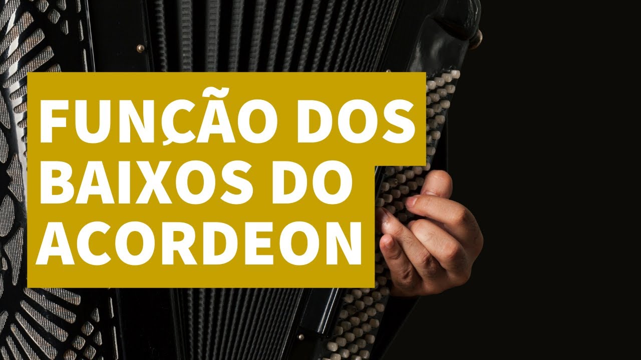 Qual é a FUNÇÃO dos BAIXOS do ACORDEON?