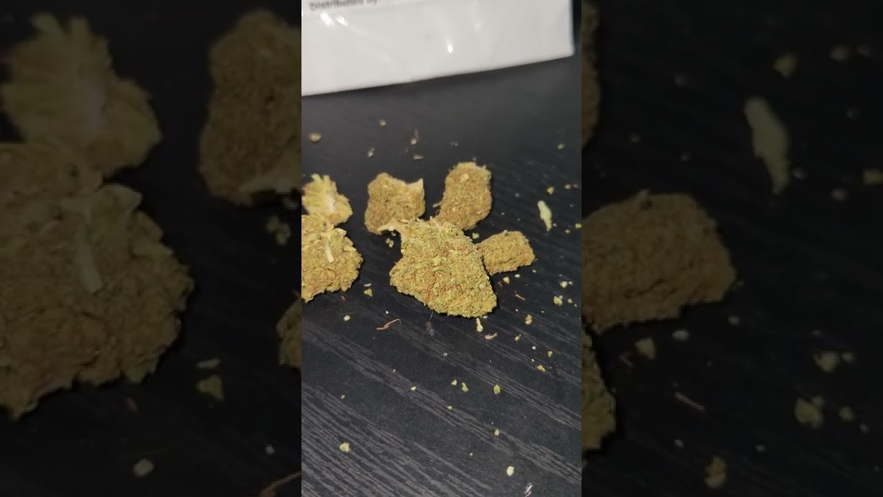 Mango Pie Review - Tweedle Farms