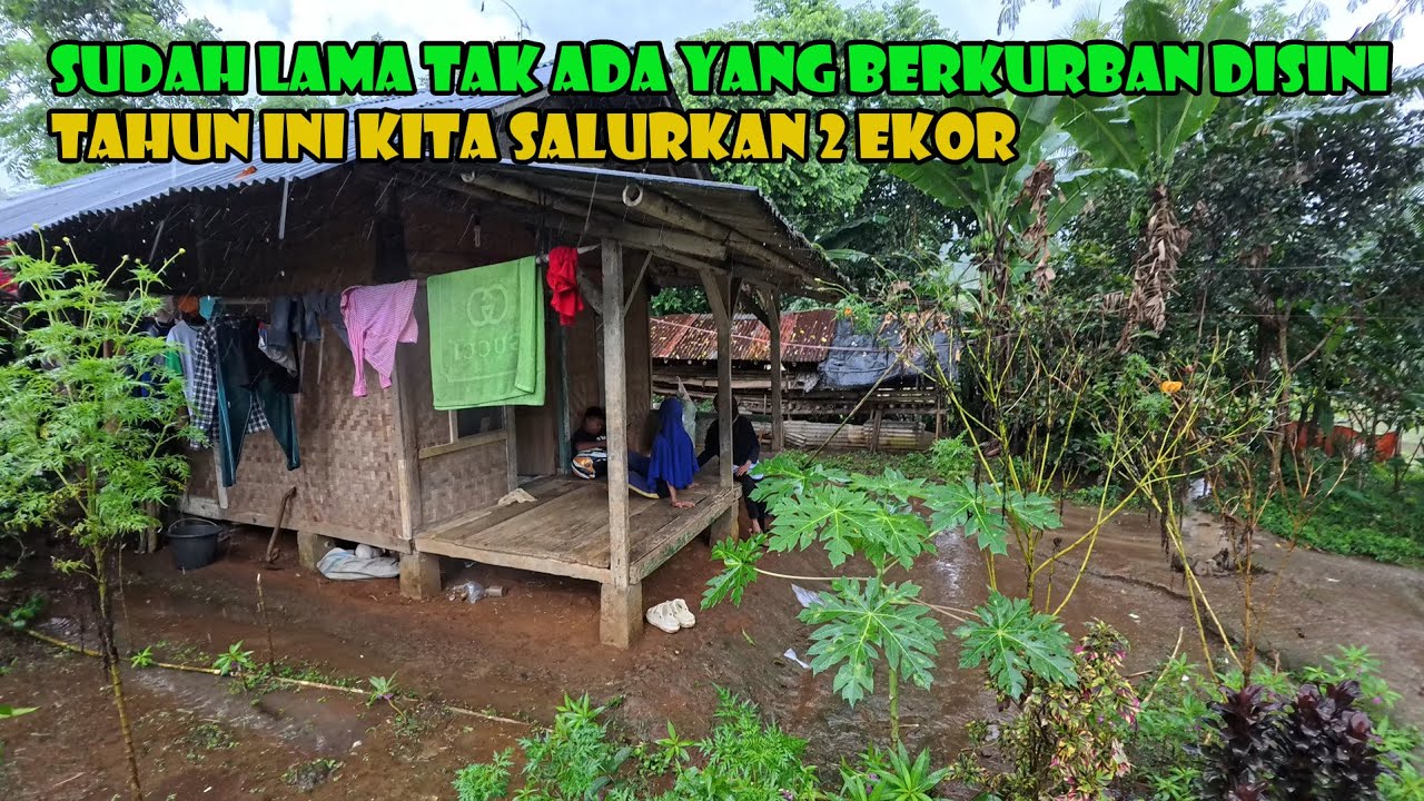 Hujan Deras Membawa Keberkahan.. Kita Salurkan 2 Ekor Hewan Kurban.