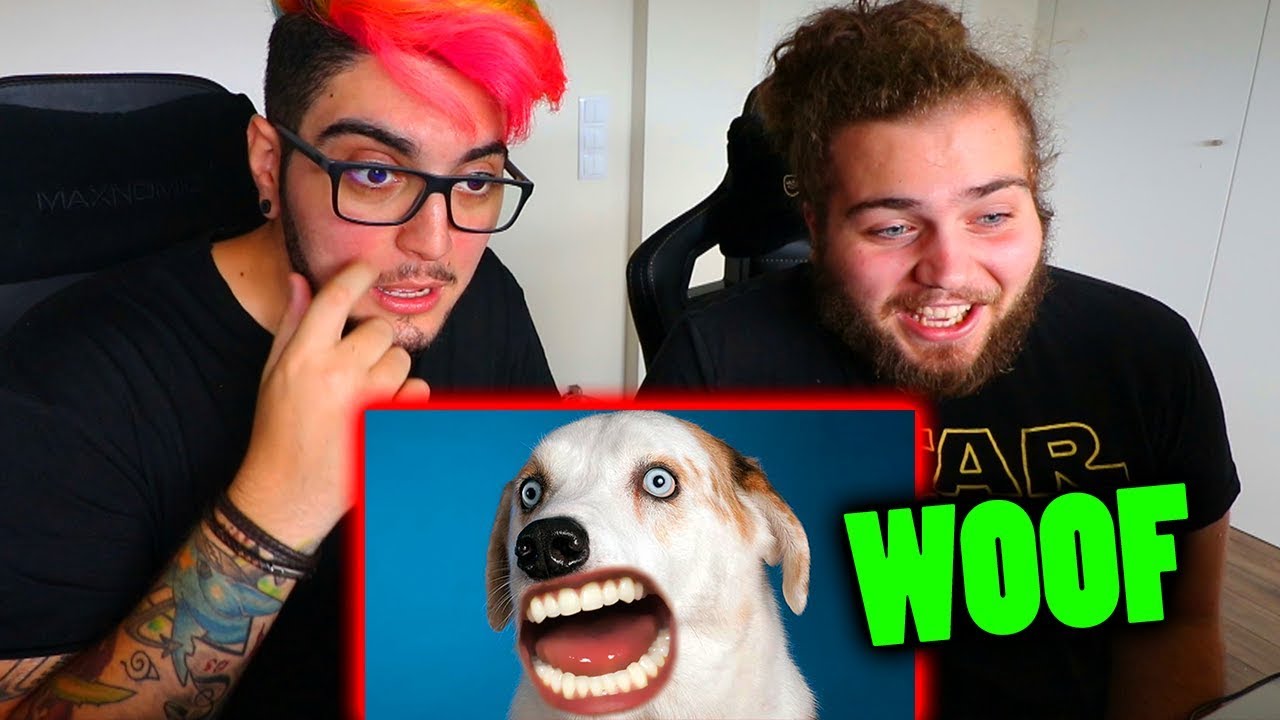 BORA VER WOOF