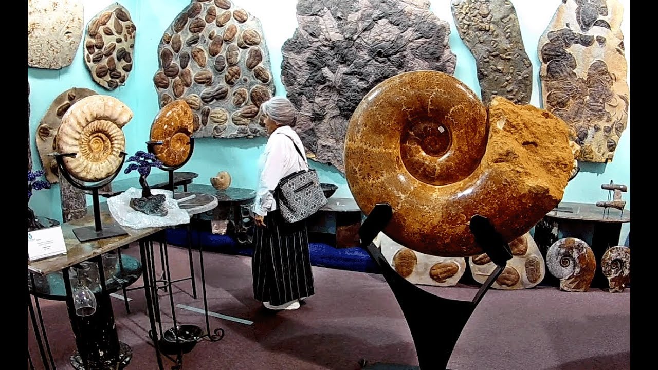 Staggering Fossils! - Tucson's Gem, Mineral & Fossil Show