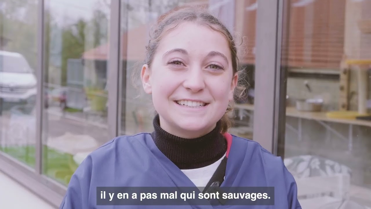 Mewo x SPA de Arry : les étudiants ASV Auxiliaire de Service Vétérinaire réalisent leurs TP à la SPA