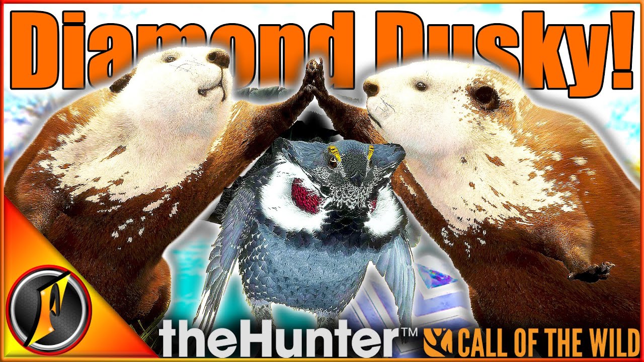 DIAMOND Dusky Grouse + Beaver Multimount Complete! | theHunter Call of the Wild