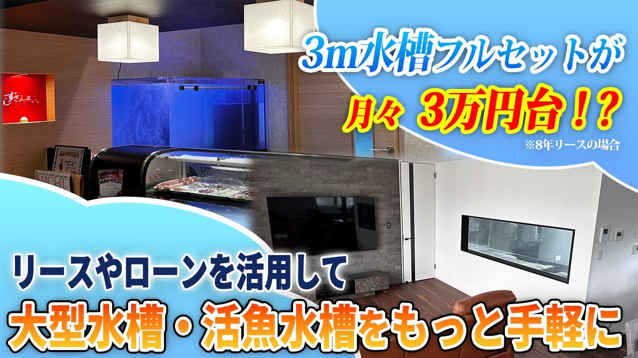 【事業者様向け】3ｍ水槽が月々3万円～