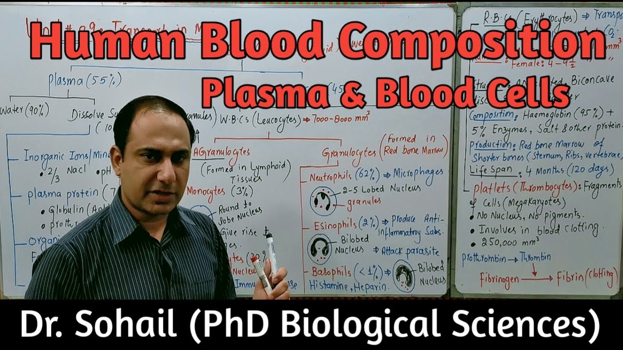 Human Blood Composition | Blood Cells | Plasma | MDCAT & NEET Biology | Urdu/Hindi
