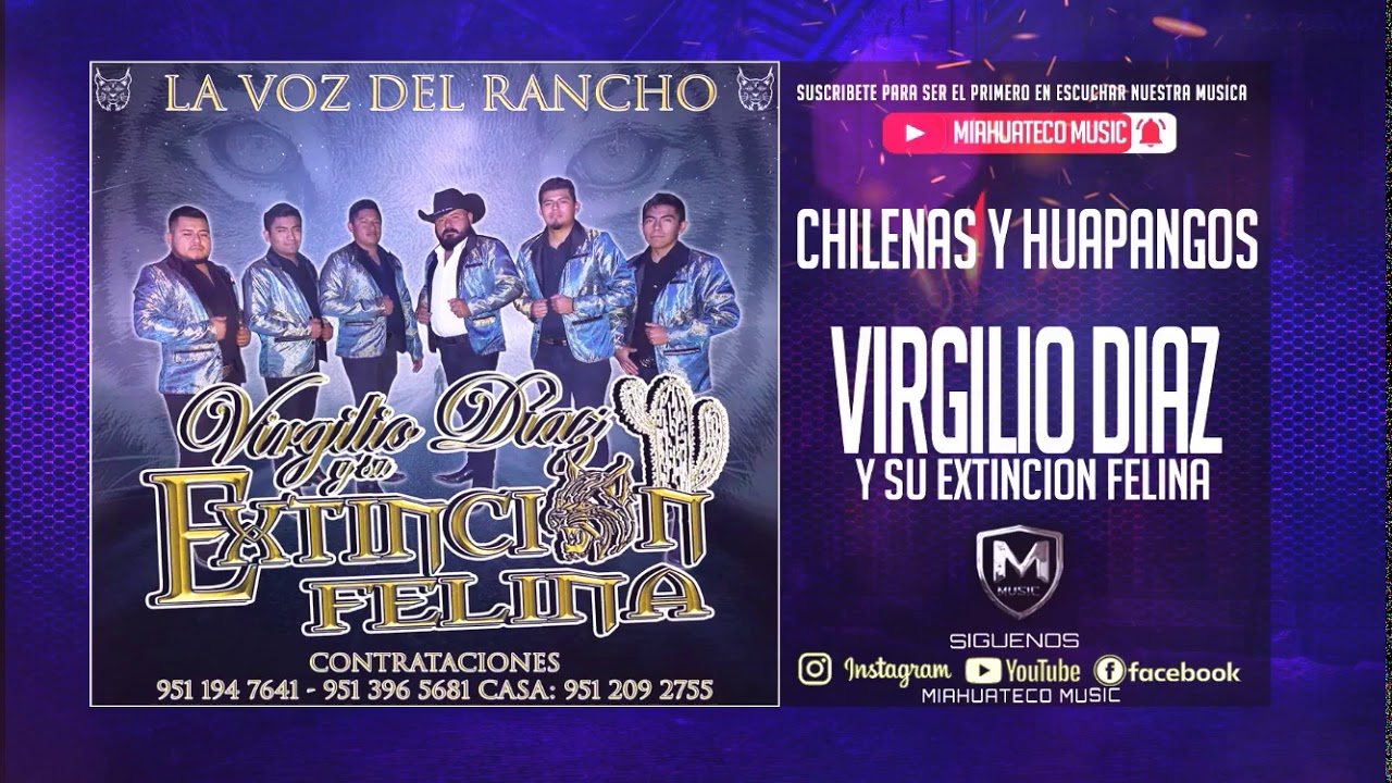 Virgilio Diaz Y Su Extincion Felina - ( Mix Chilenas Y Huapangos )