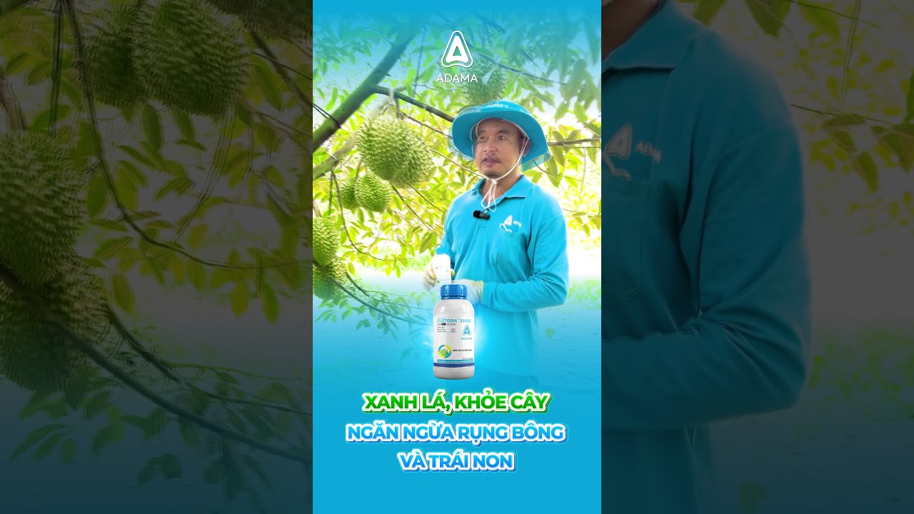 CUSTODIA&reg; 320SC - XANH L&Aacute;, KHỎE C&Acirc;Y, NGĂN NGỪA RỤNG B&Ocirc;NG V&Agrave; TR&Aacute;I NON