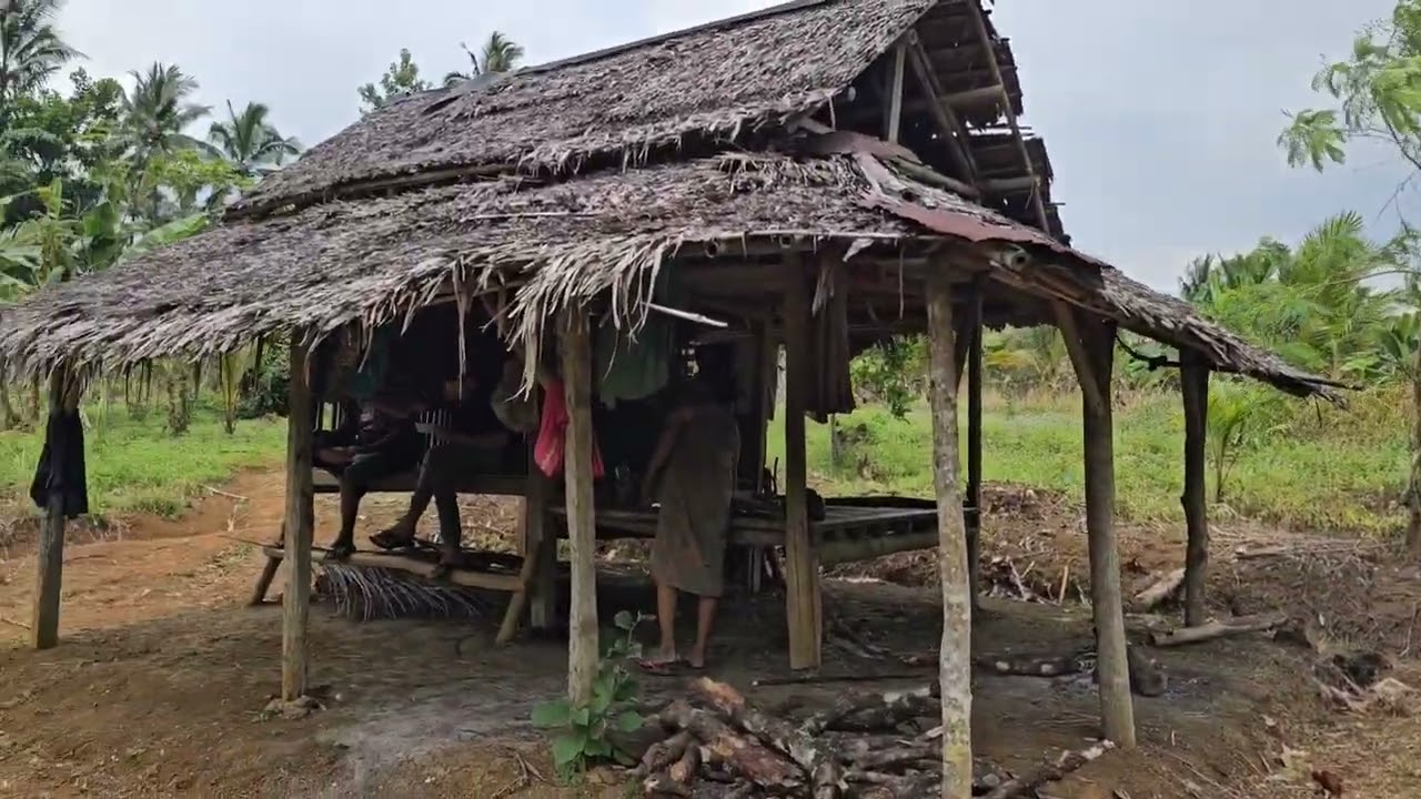 Dijual Kebun kelapa murah legalitas SHM luas 2 hektar lebih harga 18 rb permeter 