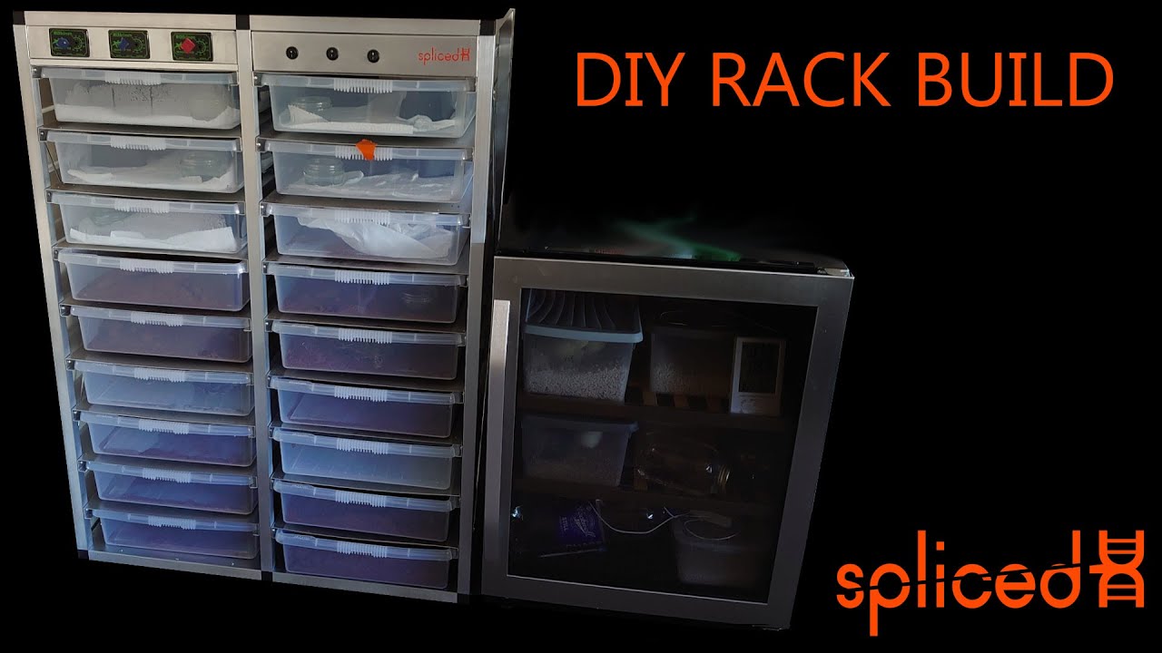 Ball Python DIY  Hatchling Rack Build