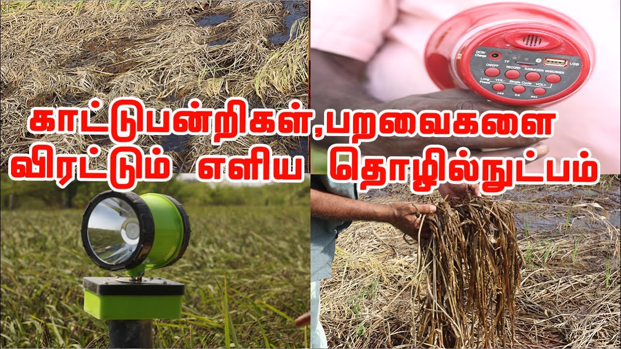 பயிர்களை சேதப்படுத்தும் காட்டுபன்றிகள்,பறவைகளை விரட்டும் எளிய தொழில்நுட்பம் WildBoar Repellent Sound