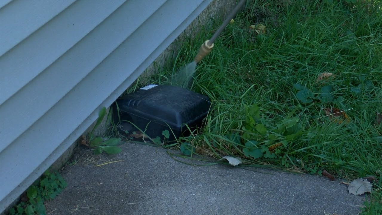 Local pest professional offers tips for protection against fall invaders