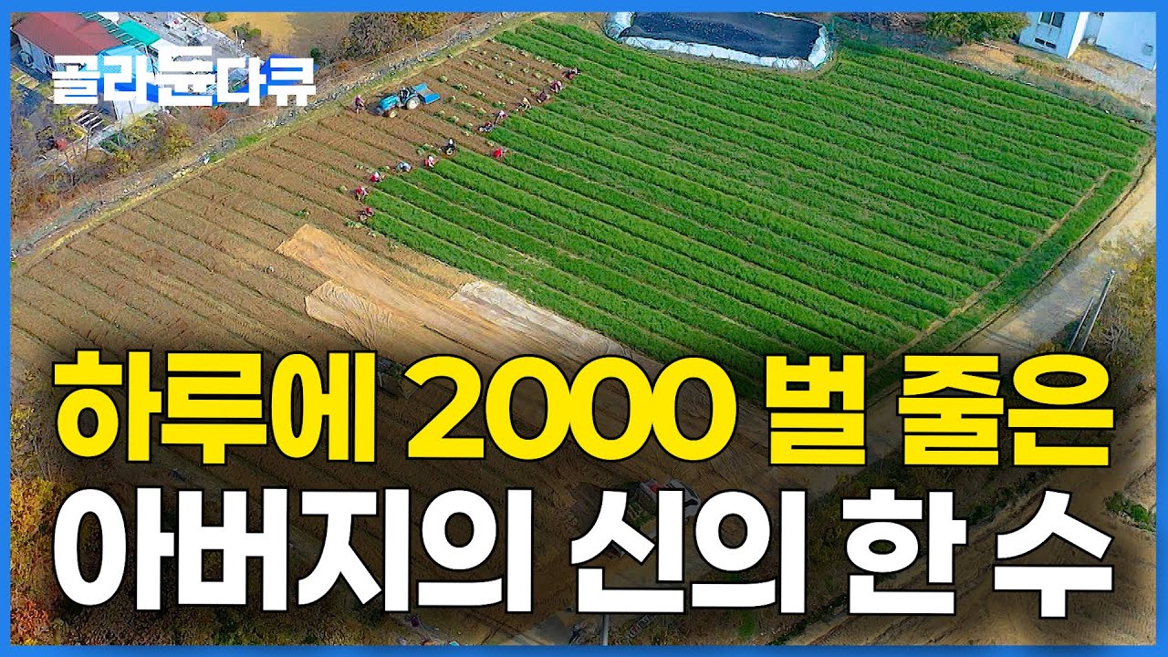 전국민 다 먹는 고수익 작물 발견. 5만 평에 '이것' 심었더니 하루 2000만 원 버는 남자｜연수익 70억 쪽파 대파 농사｜극한직업｜#골라듄다큐
