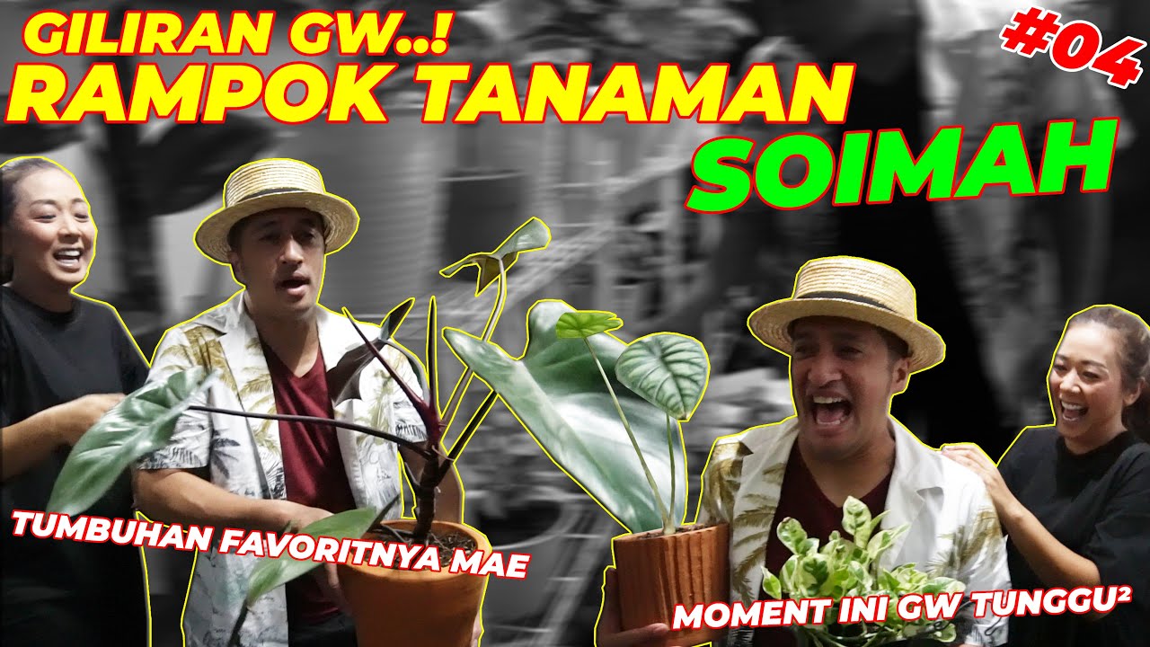 #EPS04 TANAMAN SOIMAH | PENGHUNI RUMAH SOIMAH KAGET !! BAWA PULANG TUMBUHAN RATUSAN JUTA