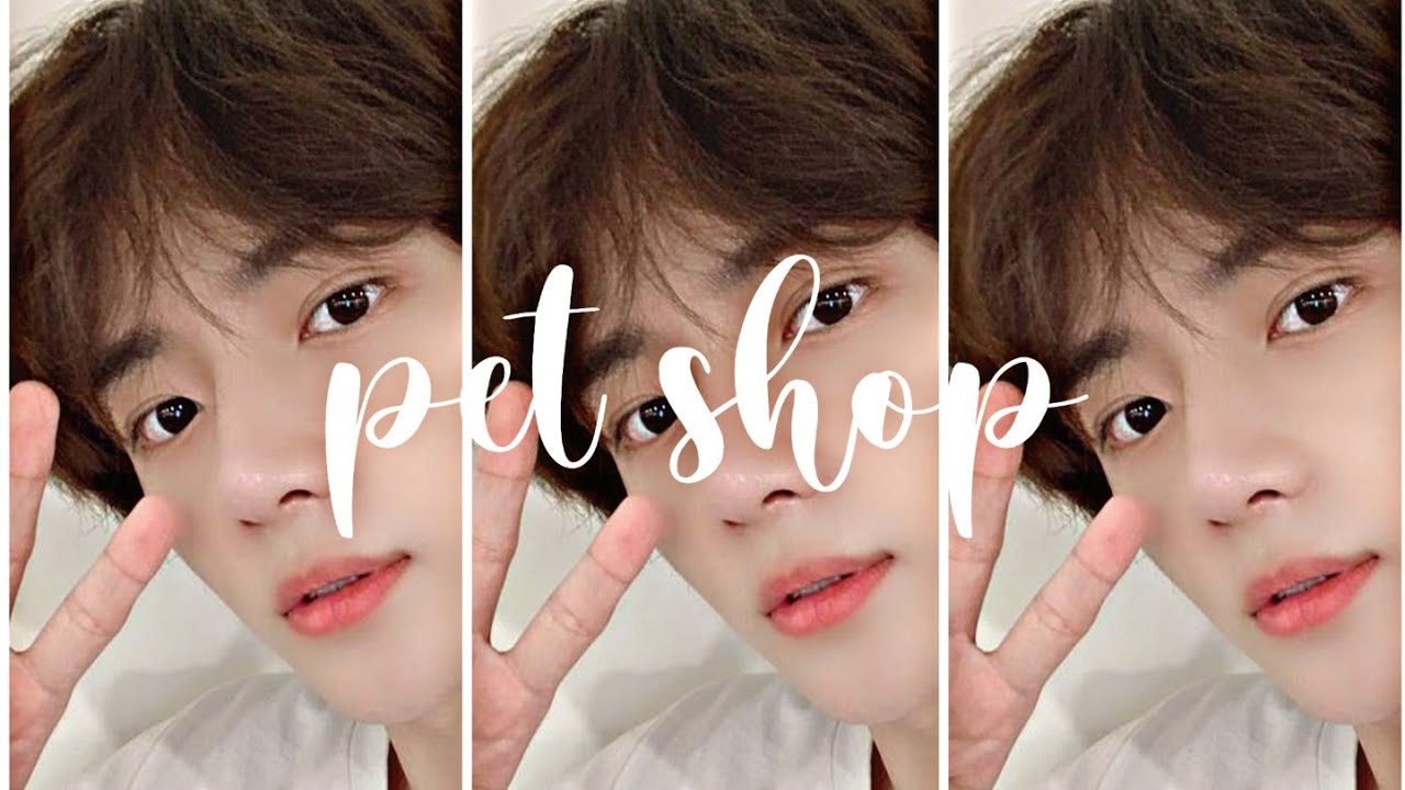 ༄ 𝐩𝐞𝐭 𝐬𝐡𝐨𝐩 :: 𝘣𝘦𝘰𝘮𝘨𝘺𝘶 𝘰𝘯𝘦𝘴𝘩𝘰𝘵