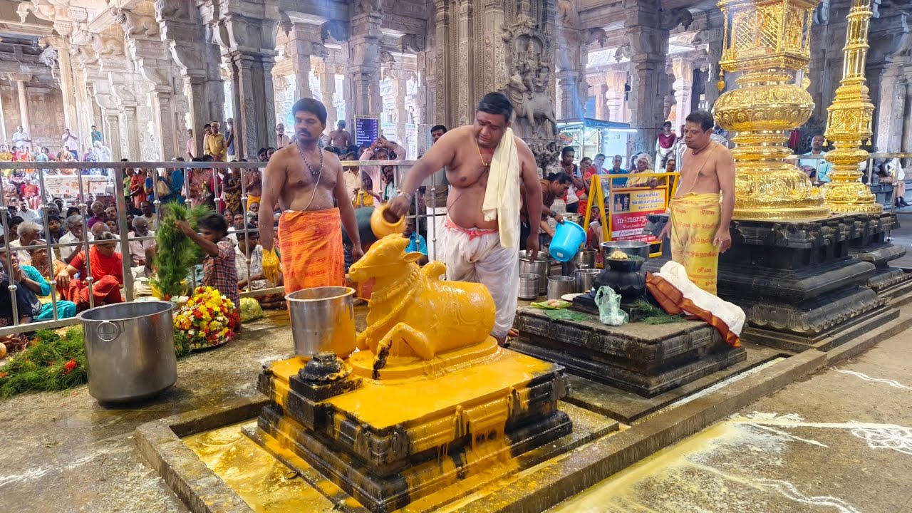 பிரதோஷ வழிபாடு திருவானைக்காவல் 
