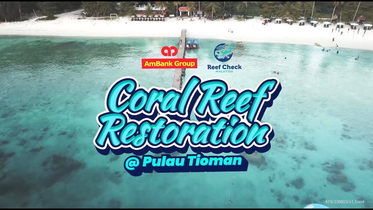 AmBank Group - Coral Reef Restoration at Pulau Tioman