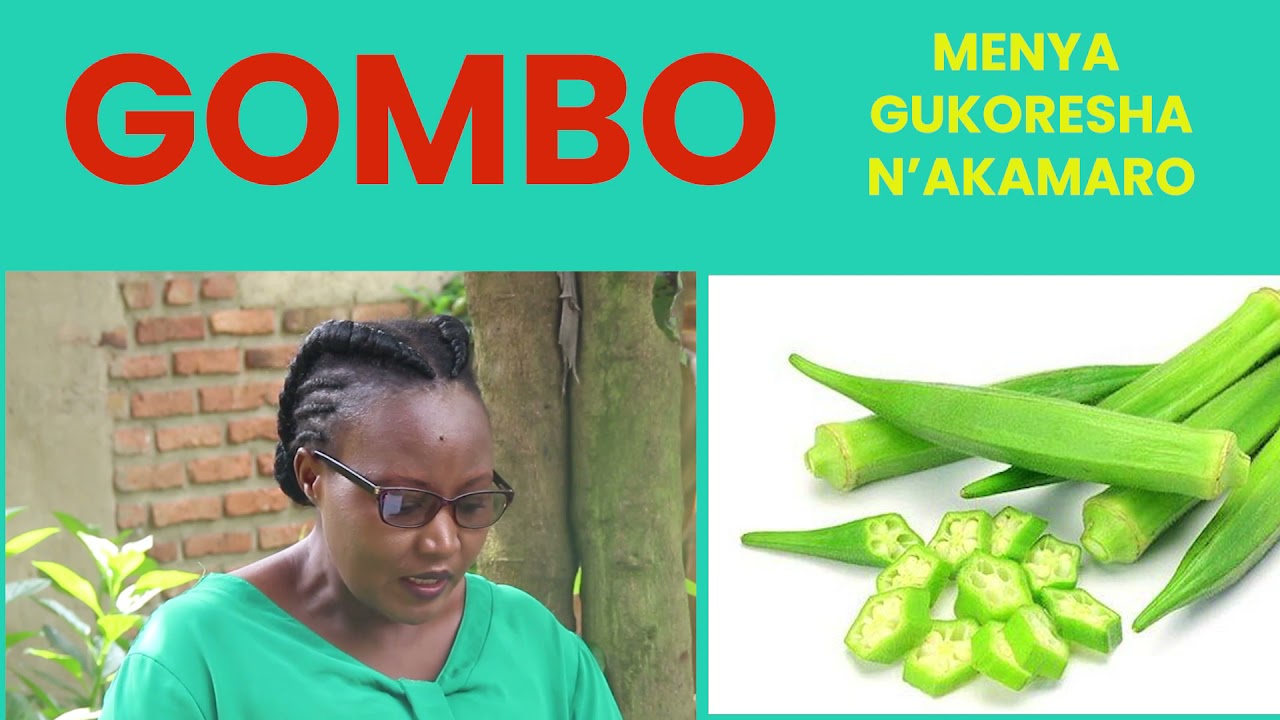 GUMBO (OCRA) : ICYO ZIMAZE KUTWITE UWABYAYE NO KU BANTU BOSE MENYA NUKO WAZIKORESHA
