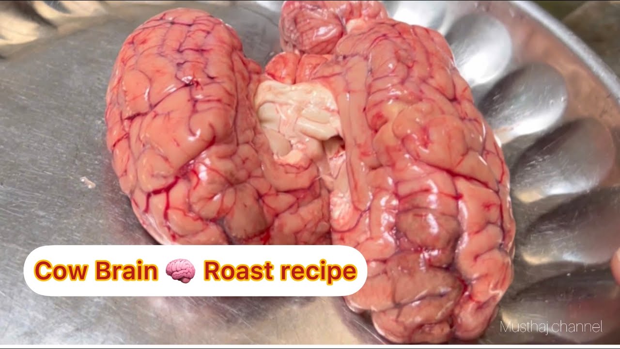 Cow Brain Roast Recipe Try this way