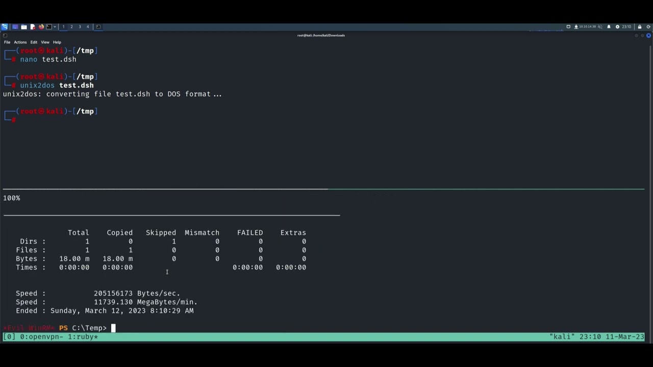 SeBackupPrivilege Privilege Escalation