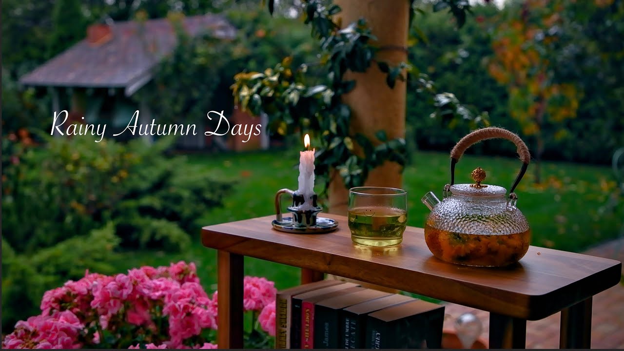 Autumn Rainy Days ☔️ 🌧️ | Calm Rain to Relax and Unwind Yourself 🌧️☔️