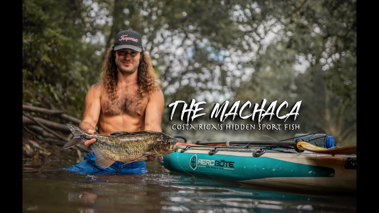 The Machaca: Costa Rica's Hidden Sport Fish