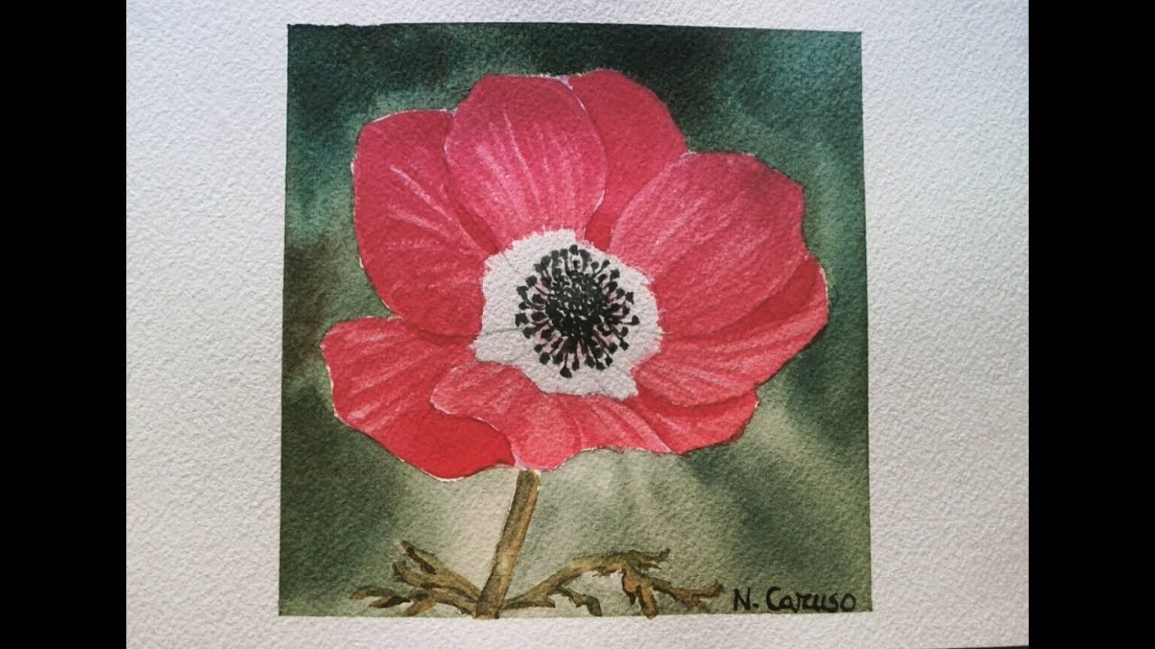 Come dipingere un ANEMONE ROSSO ad acquerello per VELATURE su sfondo BAGNATO SU BAGNATO