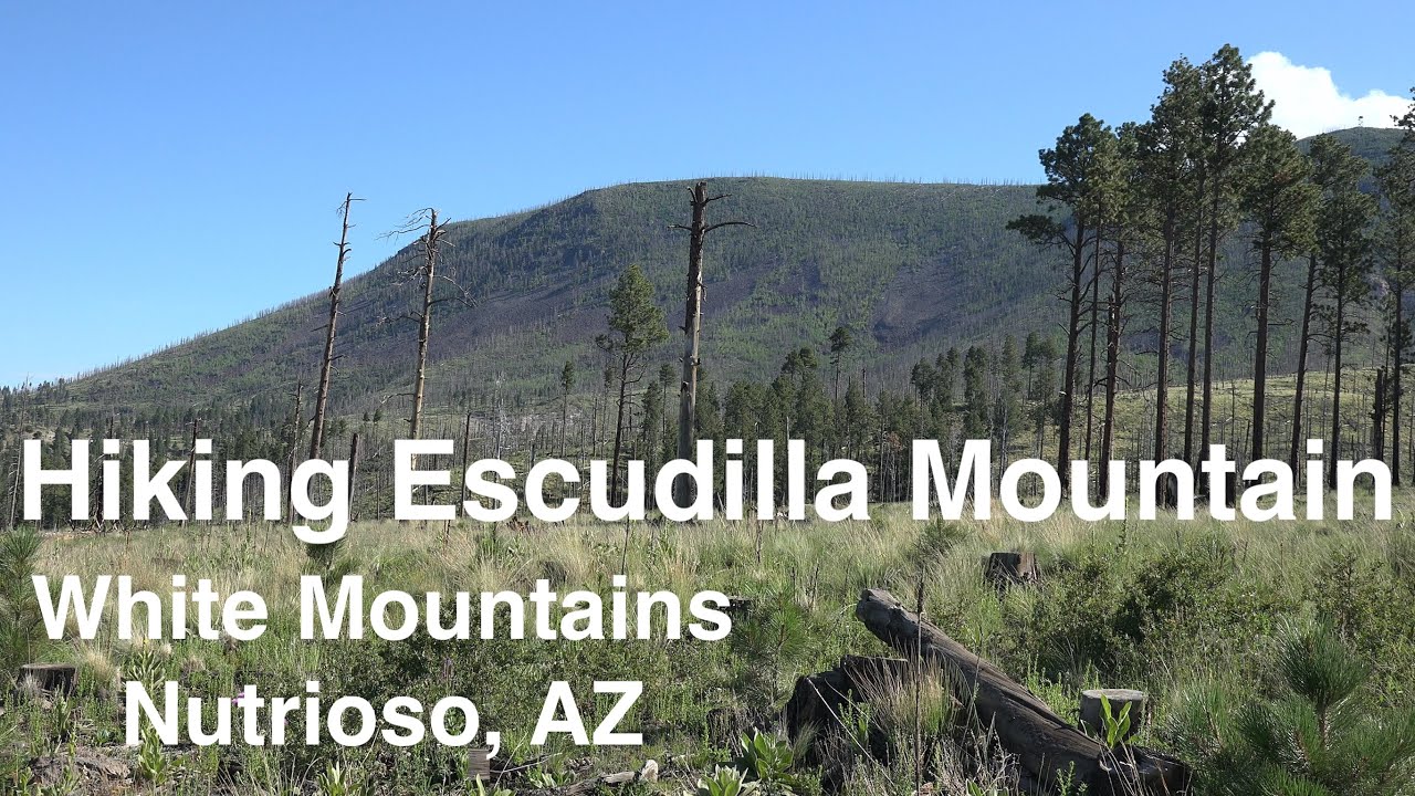 Hiking Escudilla Mountain - White Mountains - Nutrioso, AZ
