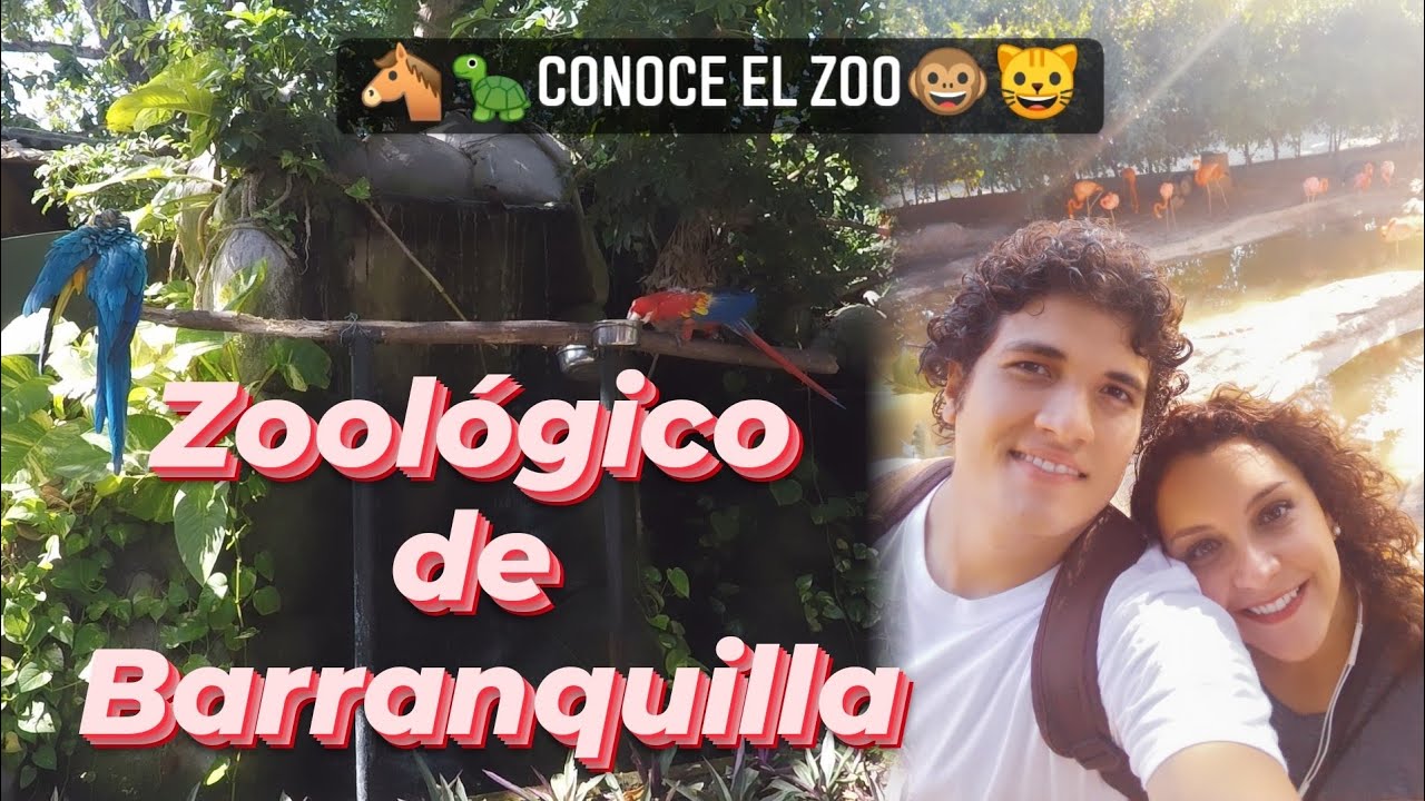 💚CÓMO es el ZOOLÓGICO 🦉🐑 de Barranquilla en [PANDEMIA]❓ | Qué Hacer en BARRANQUILLA?