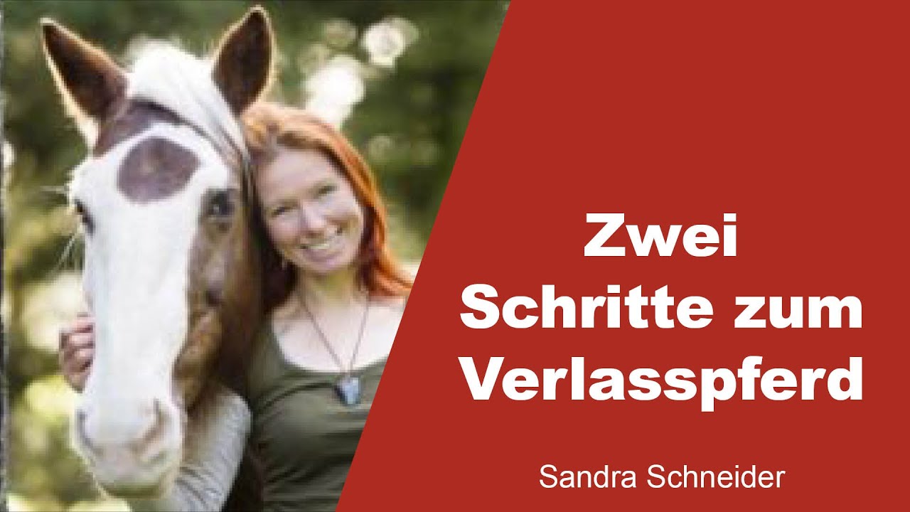 Zwei Schritte zum Verlasspferd - Sandra Schneider - 1