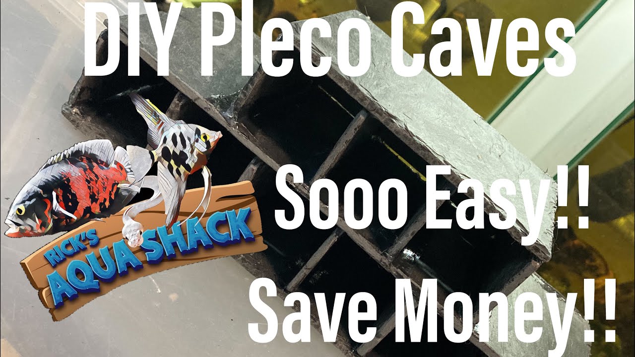 DIY PLECO CAVE (Save money and make what you need!)