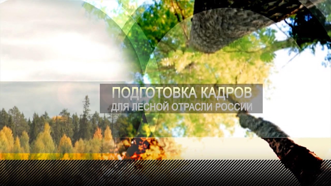 К 90-летию АЛТИ