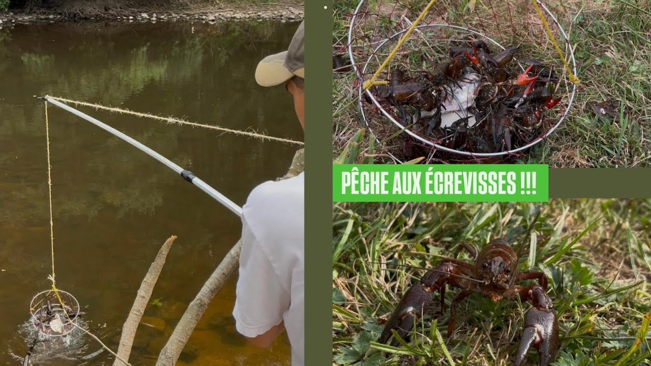 ON P&Ecirc;CHE 285 ECREVISSES EN 1H30 !! (Avec un app&acirc;t insolite !)