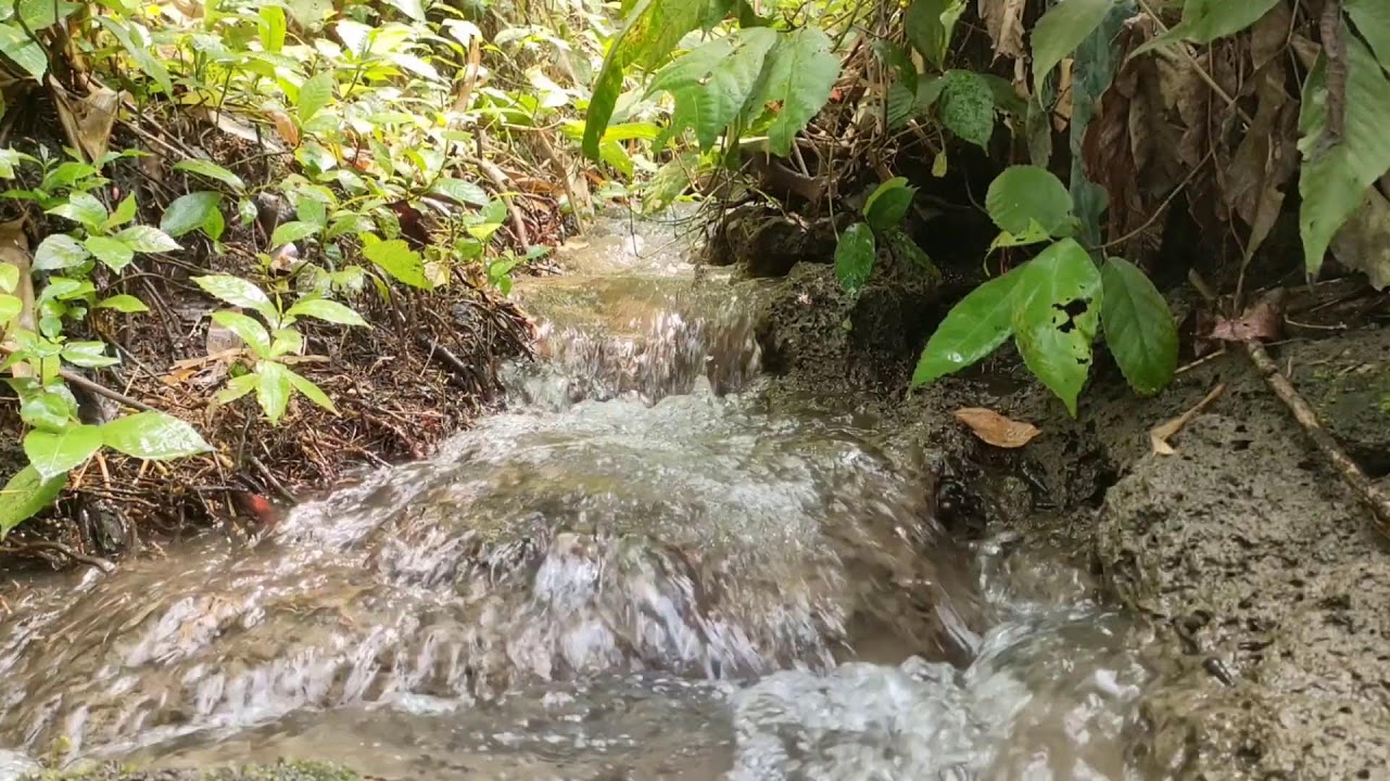 Healing River Ambience – Calm River Sounds with White Noise for Stress Relief