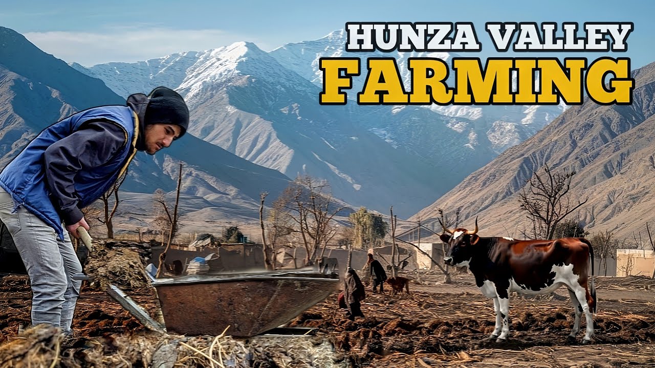 HUNZA VALLEY FARMING START || MOST BEAUTIFUL PLACE IN WORLD