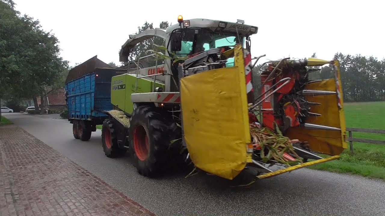 Winkelhorst Rekken mais hakselen