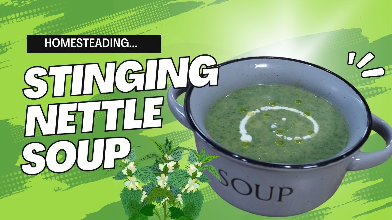 Stinging Nettle Soup