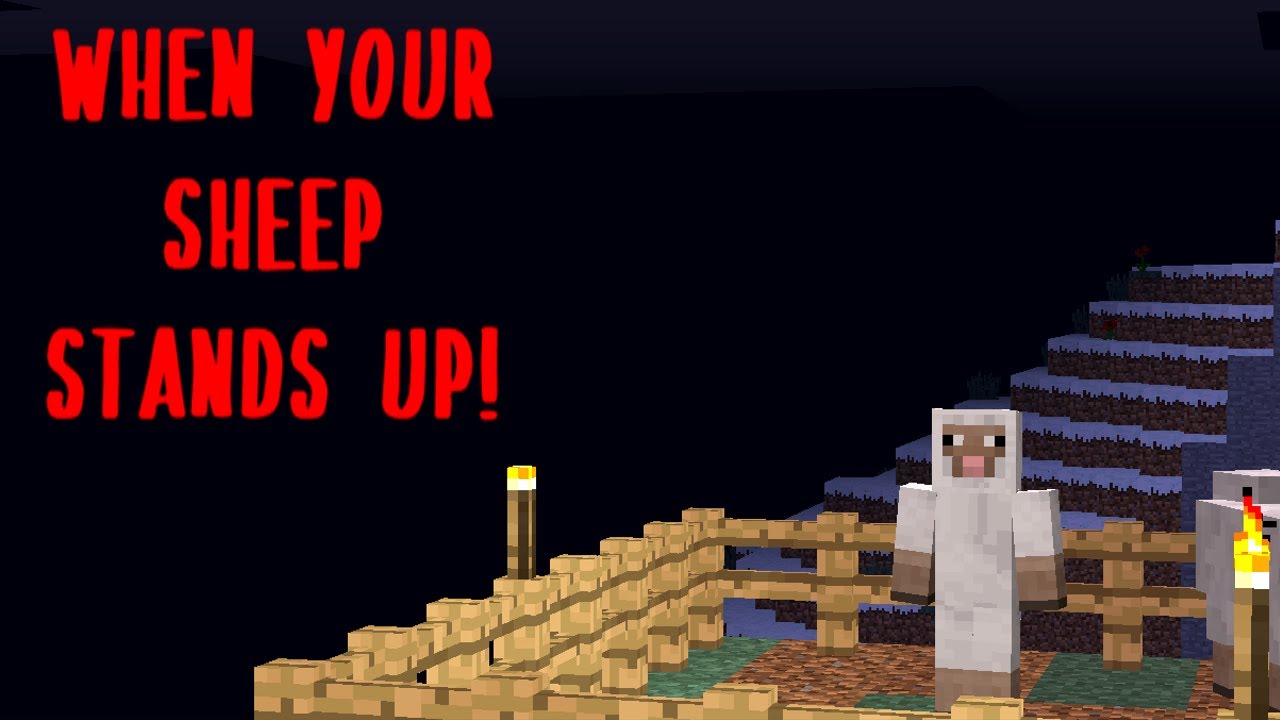 When a Sheep Stands Up! Minecraft Creepypasta Phenomena