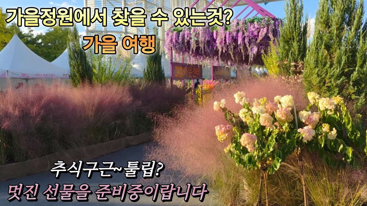 KJ가드닝#25_46/가을 정원에서 찾을 수 있는것 #가을여행#추식구근 #튤립#멋진 선물을 준비중이랍니다