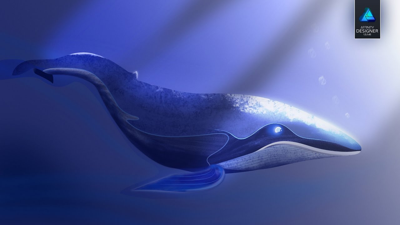 AFFINITY DESIGNER | WHALE ILLUSTRATION | SPEED DRAW