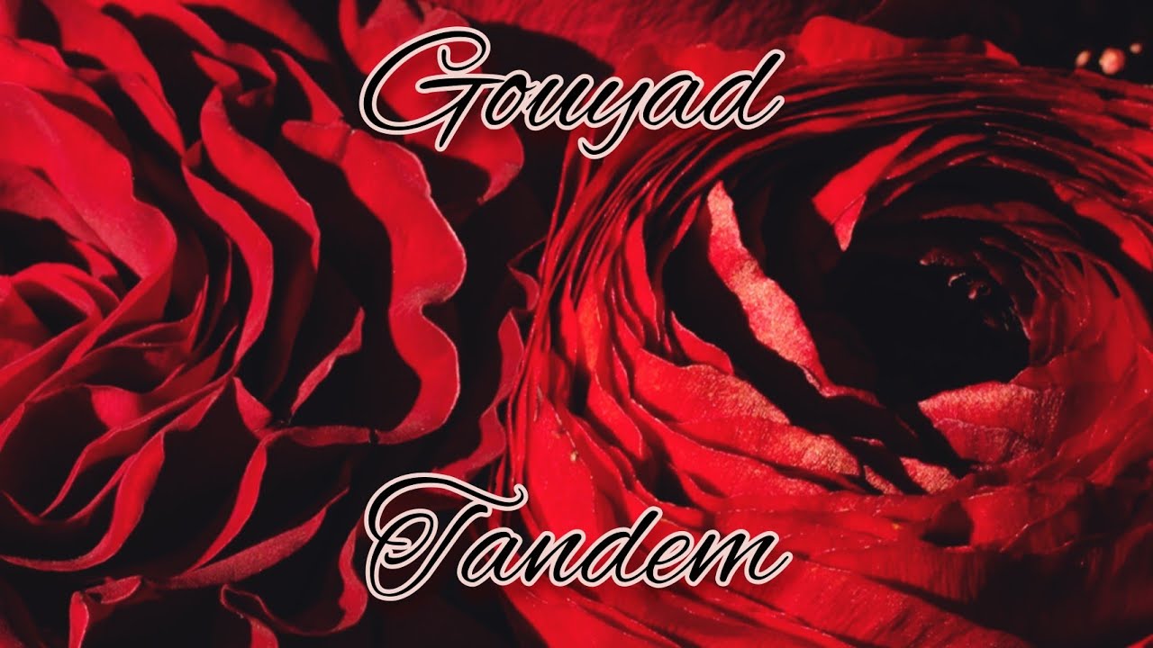 Buveur Pokka : Gouyad Tandem ( Elowdy.C, Mikl, Joe dwet file... Mix Kompa 2022 )