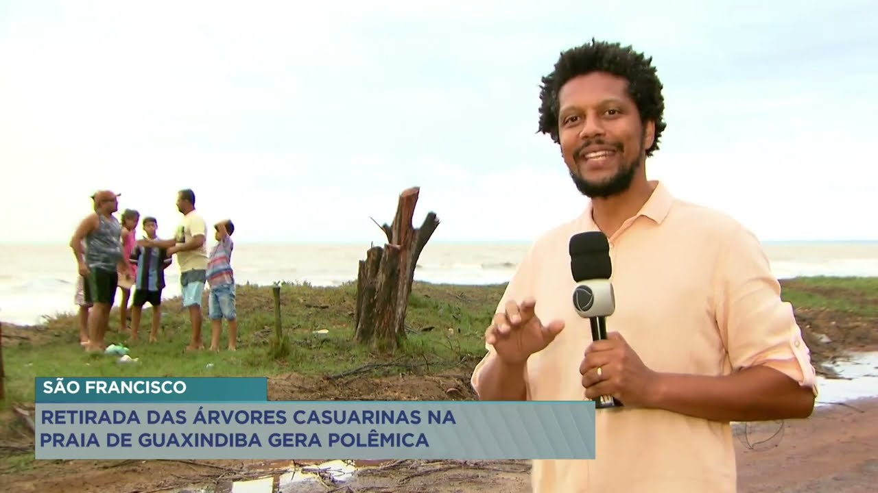 São Francisco de Itabapoana: Retirada das árvores casuarinas na praia de Guaxindiba gera polêmica