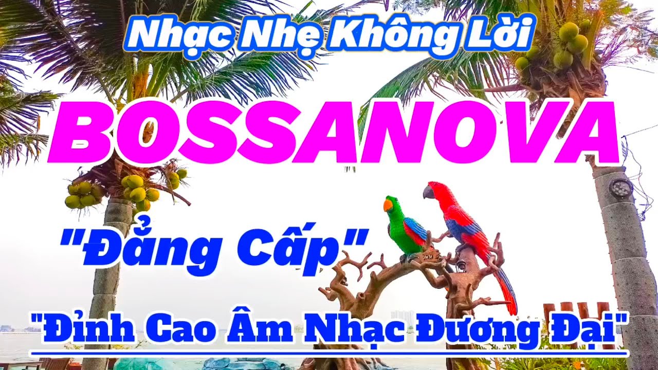 Nhạc Bossa Nova Nhẹ Nhàng Hay Nhất Hiện Nay | Lk Bossa Nova Không Lời Hay Nhất | Organ Channel