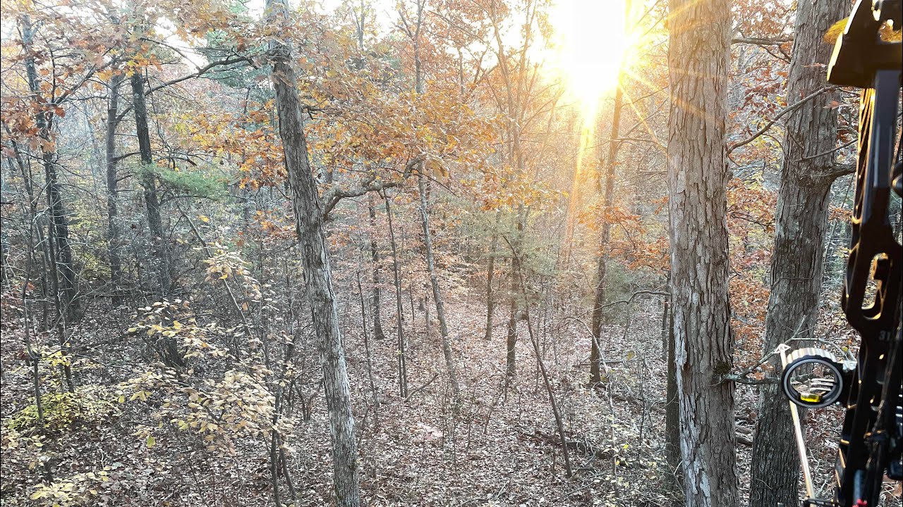 Kentucky, Public Land Bowhunt November 2021