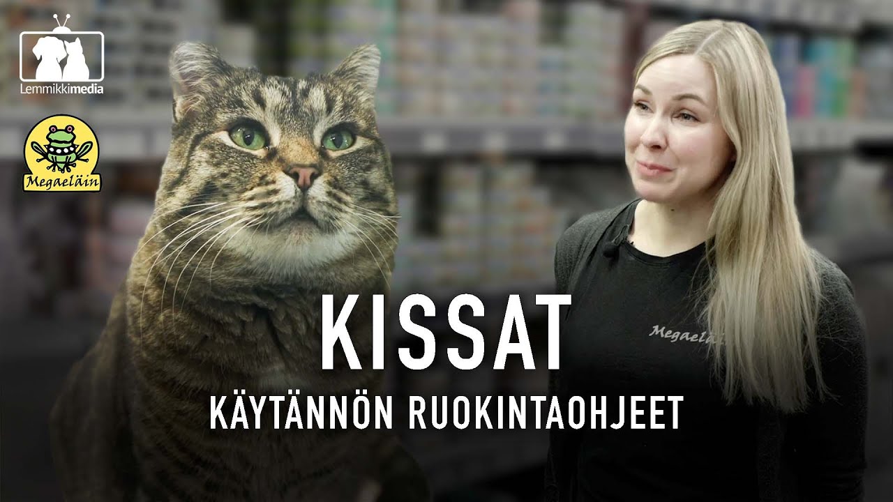 Kissat: Eläinkauppa Megaeläimen käytännön vinkit kissojen ruokintaan
