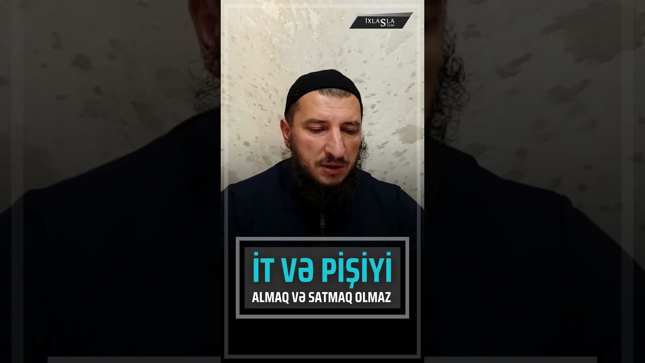 İt və pişik alveri qadağandır l Adil Rəcəbov l ixlasla.com