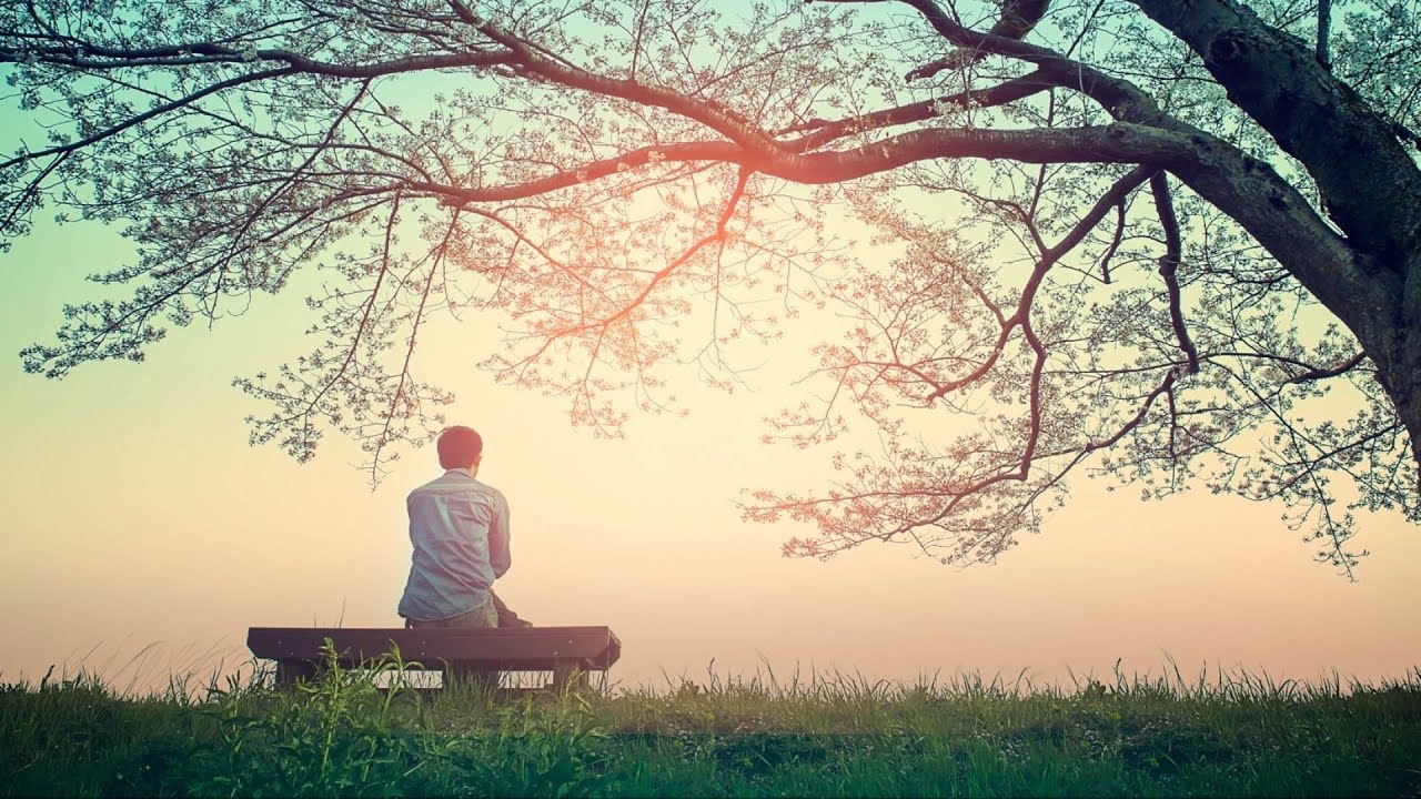 A Peace That Surpasses All Understanding (Phil 4:1-9)