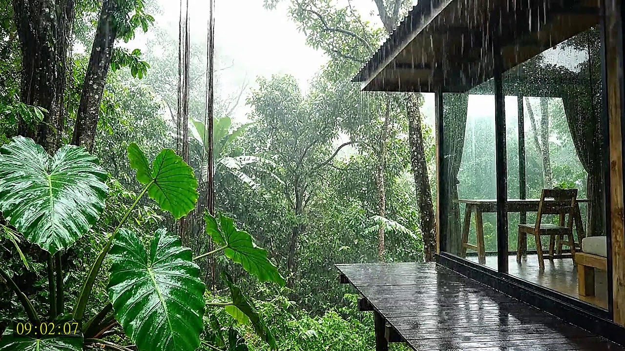 Rain Forest Night Ambience with Piano Music for Sleeping Peacefully