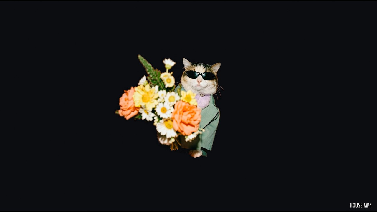 Bouquet delivery, beat steady | Jazzy House Focus