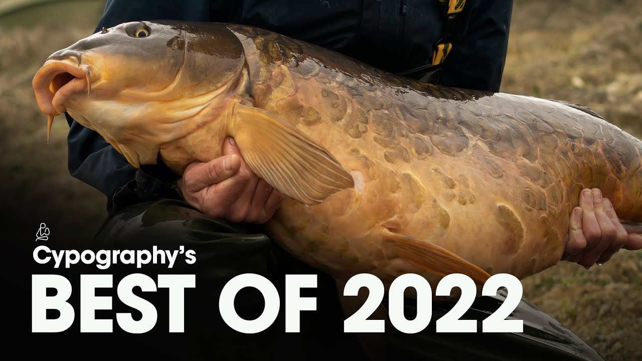 2 HOUR FILM - THE BEST OF 2022 - CYPOGRAPHY