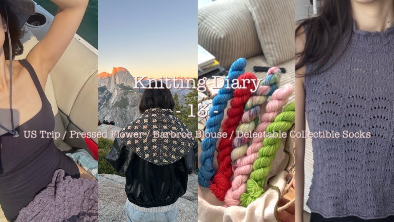 Knitting Diary -13- US Roadtrip / Pressed Flower / Barbroe Blouse / Delectable Collectible Socks